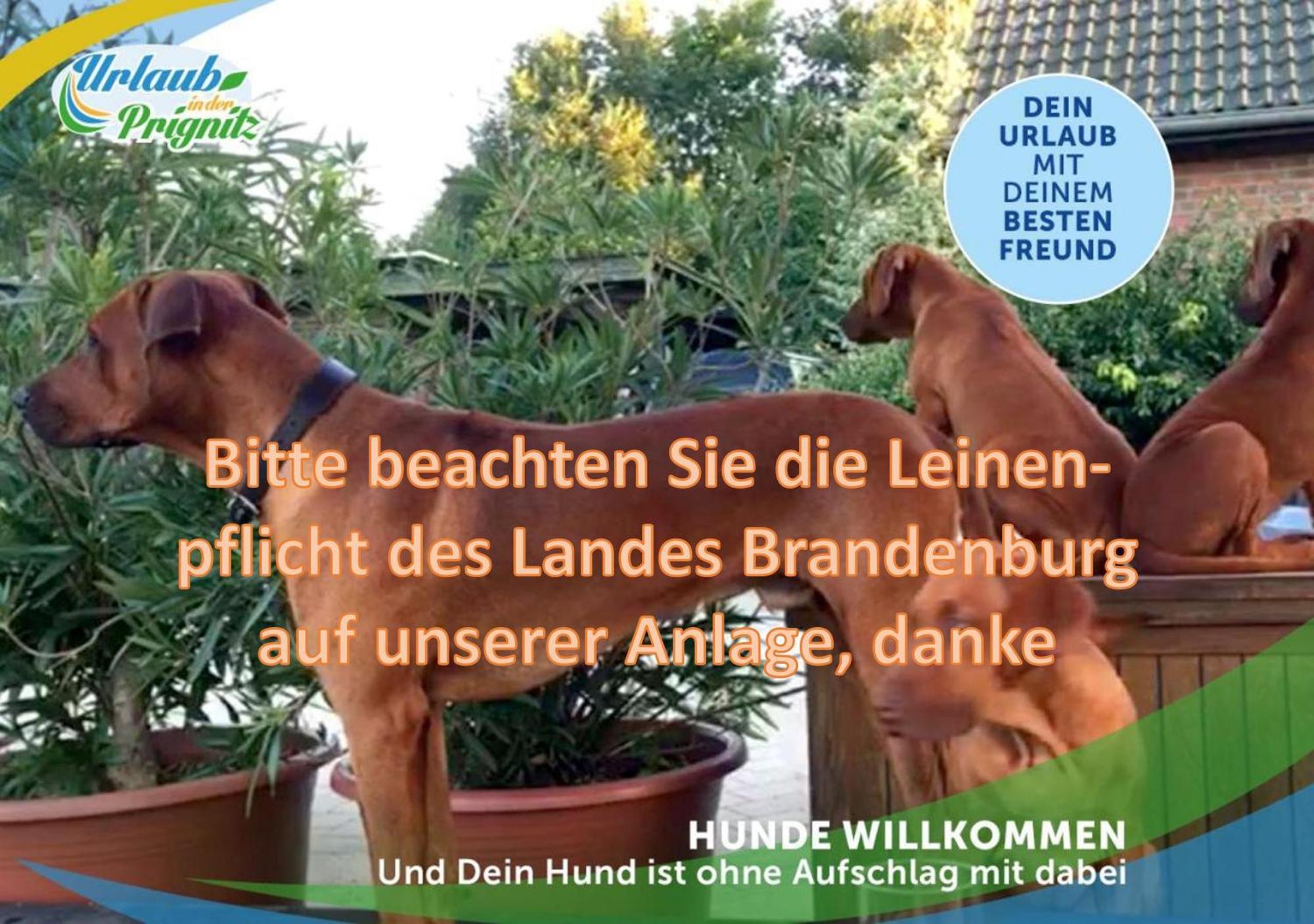 Jagd-Angler-Suite-04-Im-Wald-Am-See Kyritz Luaran gambar