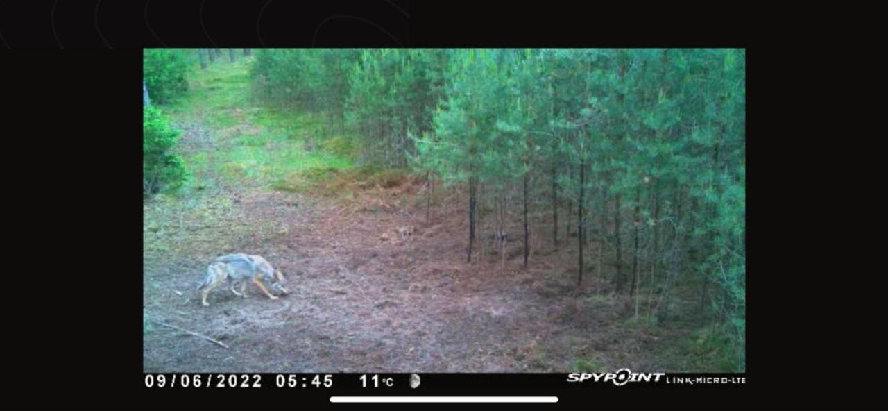 Jagd-Angler-Suite-04-Im-Wald-Am-See Kyritz Luaran gambar